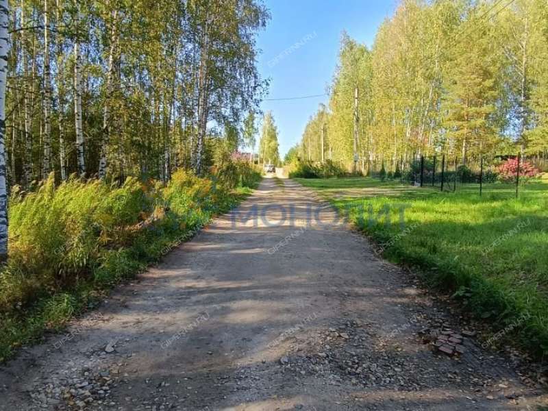 земельный участок 30 соток ТИЗ Елховка - Березовая улица село Елховка