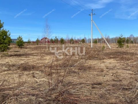 derevnya-yablonovo-gorodskoy-okrug-chkalovsk фото