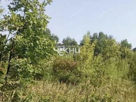 derevnya-dosadino-vadskiy-municipalnyy-okrug фото