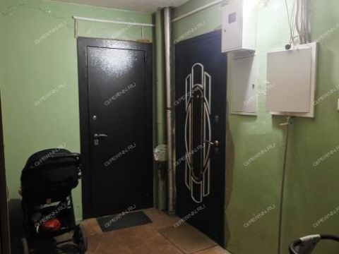 2-komnatnaya-ul-tonkinskaya-d-1a фото