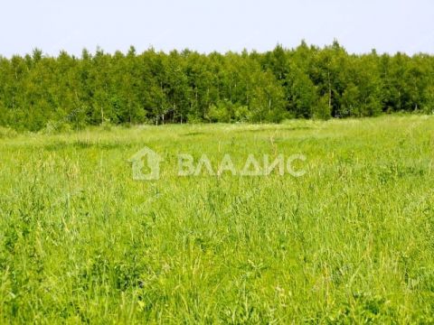 selo-ostankino-gorodskoy-okrug-bor фото