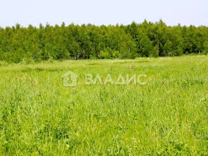 земельный участок 10,65 сотки село Останкино