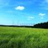 земельный участок 30 соток деревня Старцево, Бриляковский сельсовет