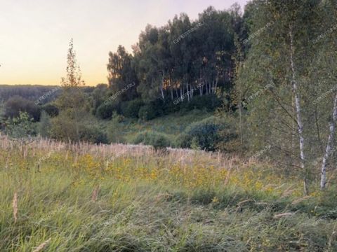 derevnya-burcevo-bogorodskiy-municipalnyy-okrug фото