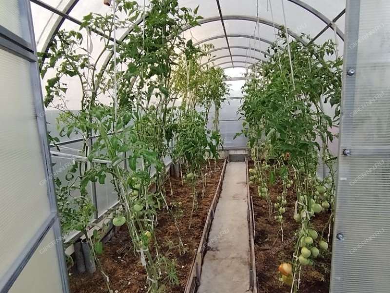 дача на СНТ Надежда