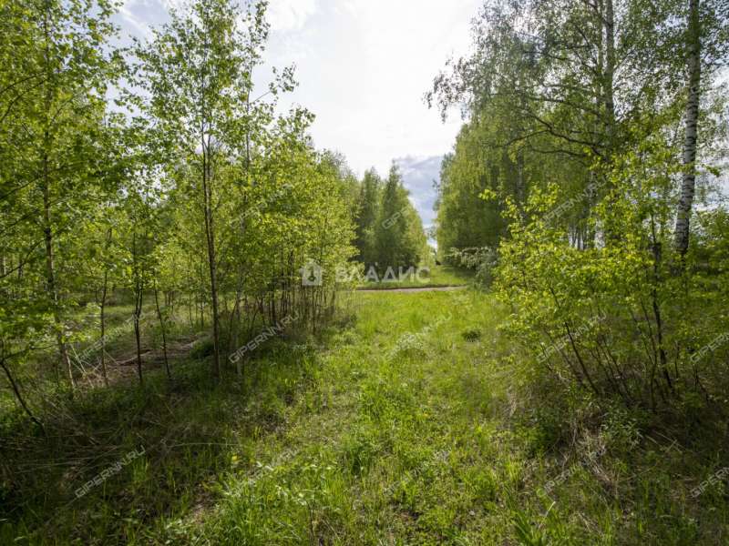 земельный участок 18 соток Овражная улица деревня Майдан