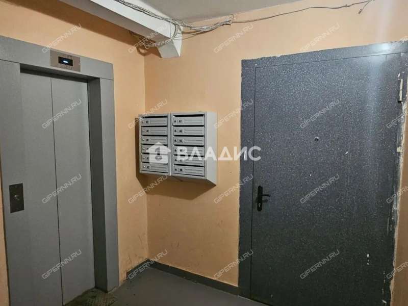 однокомнатная квартира на улице Германа Лопатина дом 11А