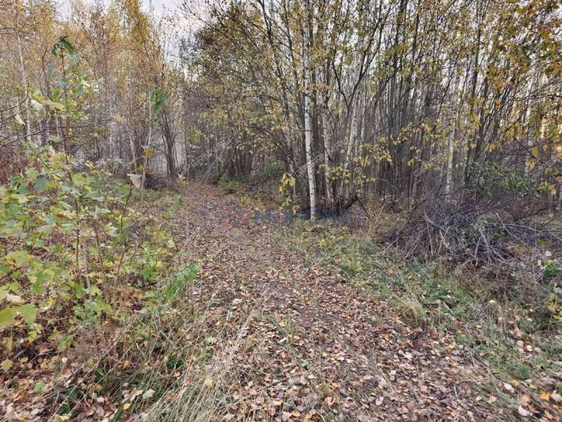 земельный участок 45 соток Солнечная улица село Новые Ключищи