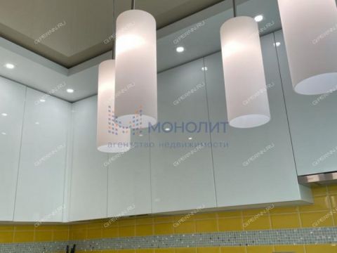 1-komnatnaya-ul-nizhne-pecherskaya-d-6 фото