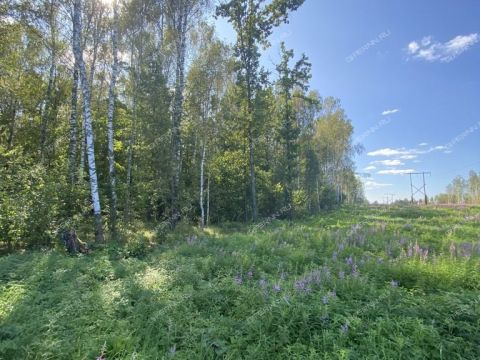 derevnya-kozhevennoe-bogorodskiy-municipalnyy-okrug фото