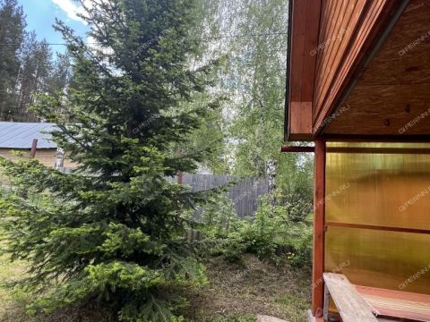 dacha-derevnya-yulovka-dalnekonstantinovskiy-rayon фото