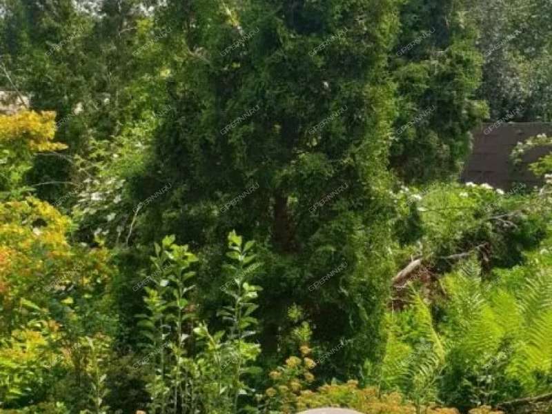дом на улице Калинина село Большие Бакалды