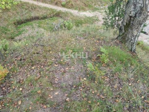 selo-kamenka-vorotynskiy-gorodskoy-okrug фото