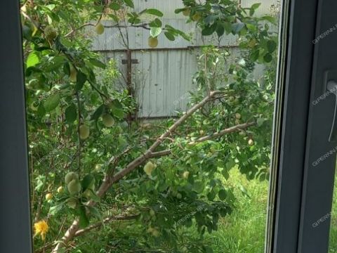 1-2-doma-rabochiy-poselok-suhobezvodnoe-semenovskiy-gorodskoy-okrug фото