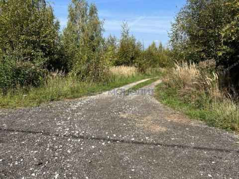 selo-arapovo-bogorodskiy-municipalnyy-okrug фото