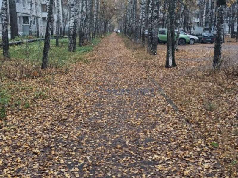 двухкомнатная квартира на улице Щорса дом 21 город Дзержинск