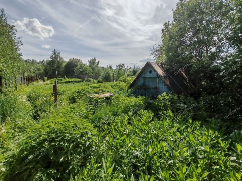 dacha-rabochiy-poselok-ilinogorsk-volodarskiy-rayon фото