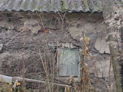 dacha-gorod-gorodec-gorodeckiy-rayon фото