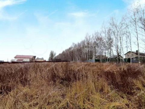 derevnya-shumilovo-bogorodskiy-municipalnyy-okrug фото