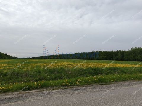 kp-romashkovo-dalnekonstantinovskiy-rayon фото