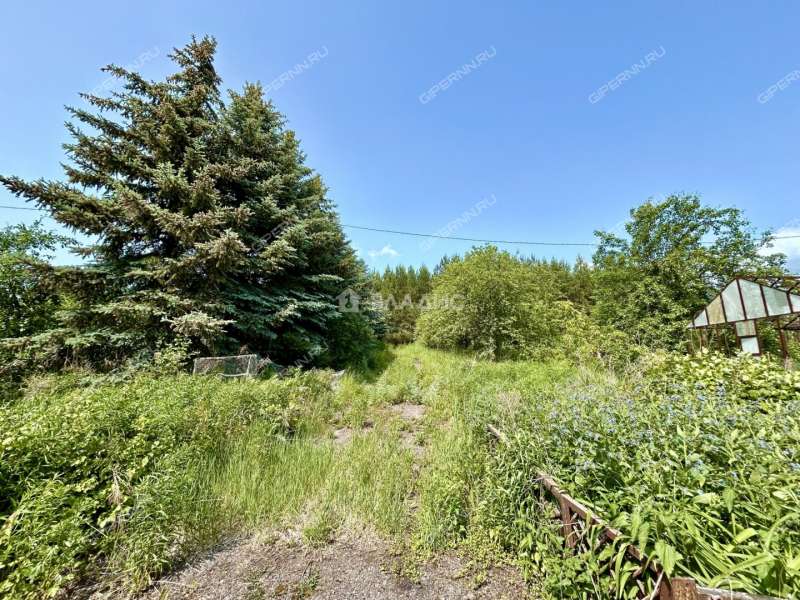 дом на 264 деревня Бугры