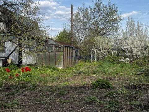 dacha фото