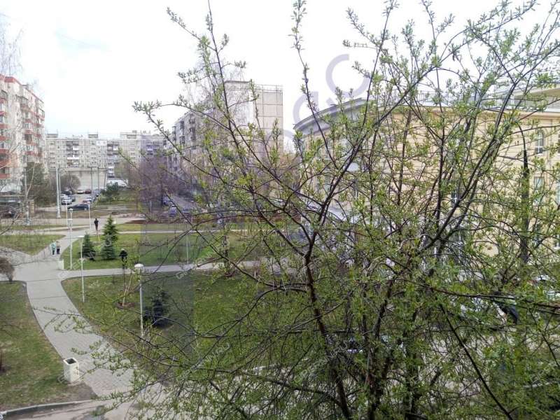 четырёхкомнатная квартира на Берёзовской улице дом 104А