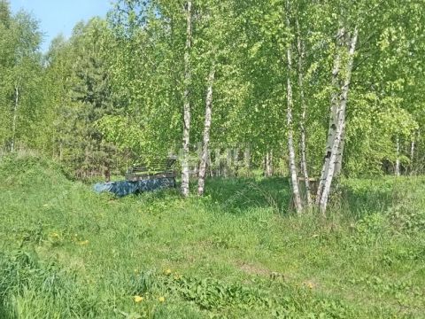 dom-derevnya-kiprevo-gorodeckiy-rayon фото