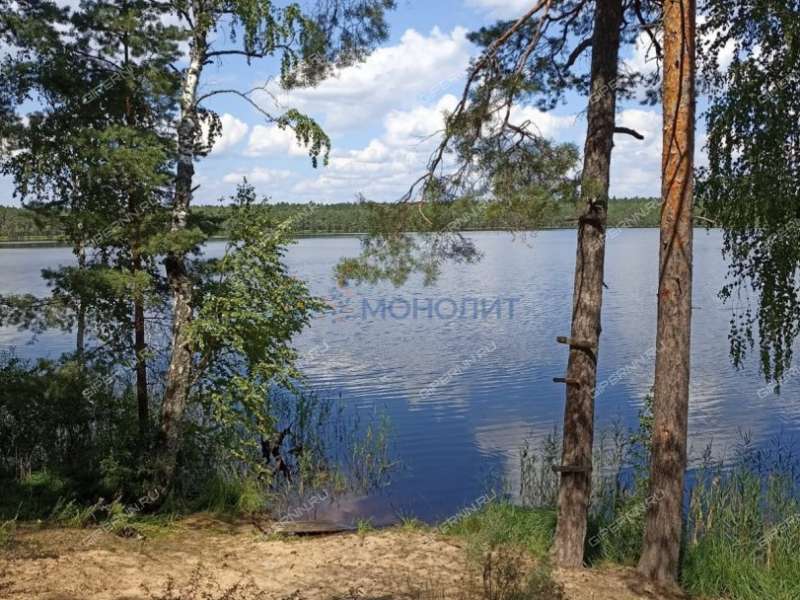 дом на улице Трудовая село Нижний Красный Яр