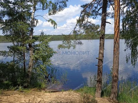 dom-selo-nizhniy-krasnyy-yar-lyskovskiy-municipalnyy-okrug фото