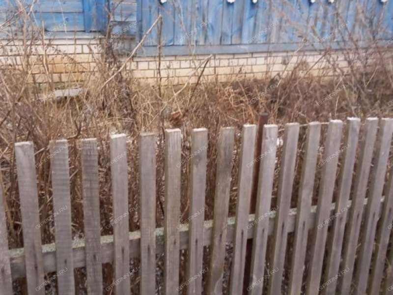 дом на  село Березино