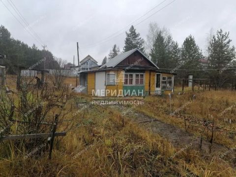 moskovskiy-rayon фото