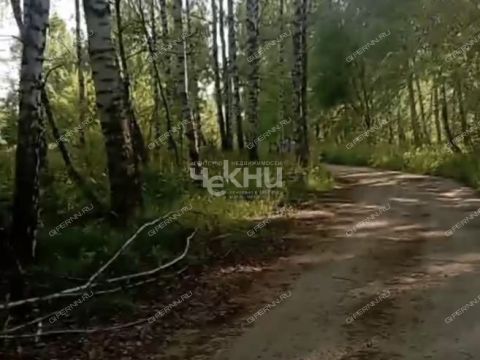 derevnya-dosadino-vadskiy-municipalnyy-okrug фото