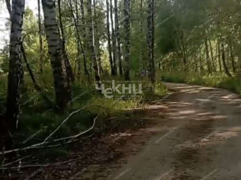 земельный участок 100 соток деревня Досадино