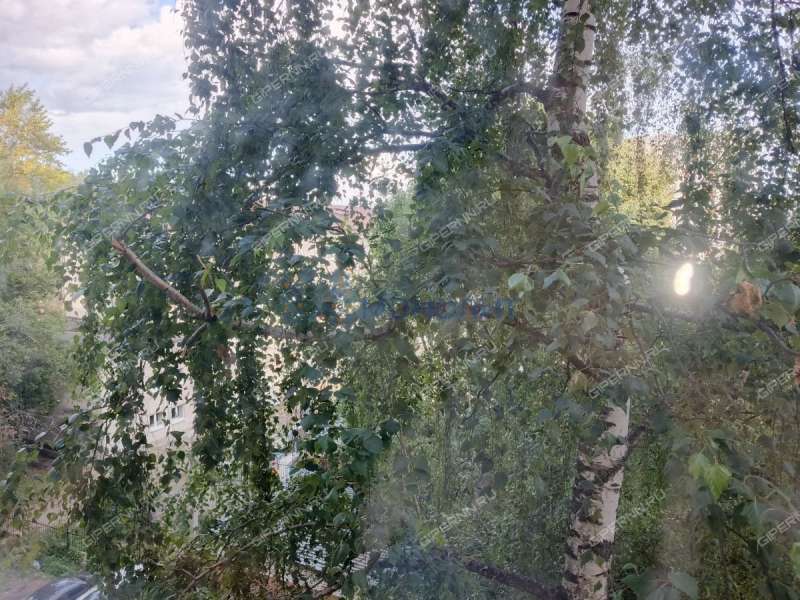 трёхкомнатная квартира на улице Пушкина дом 34Б