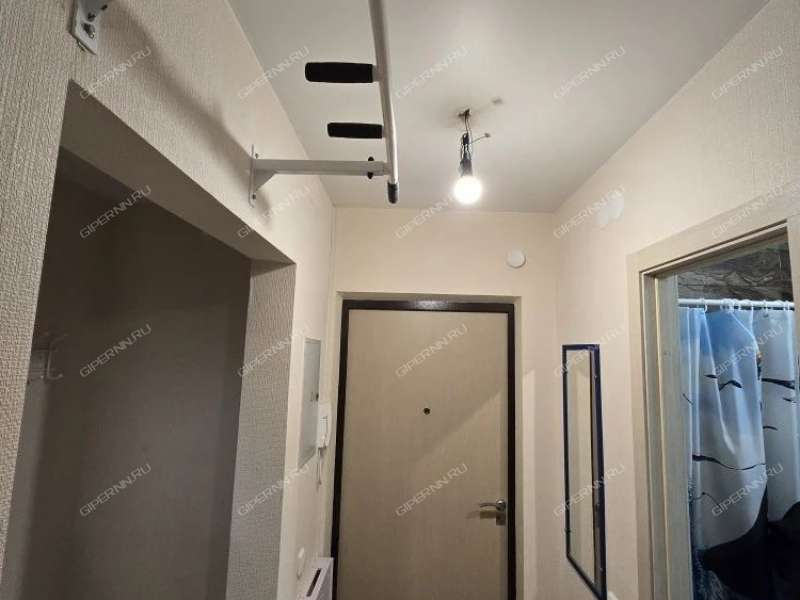 однокомнатная квартира на улице Бориса Видяева дом 19