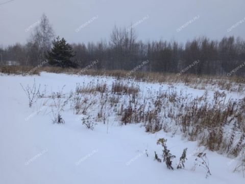 derevnya-burcevo-bogorodskiy-municipalnyy-okrug фото