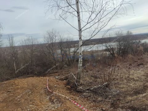 derevnya-afonino-kstovskiy-rayon фото