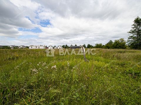 derevnya-prudy-bogorodskiy-municipalnyy-okrug фото