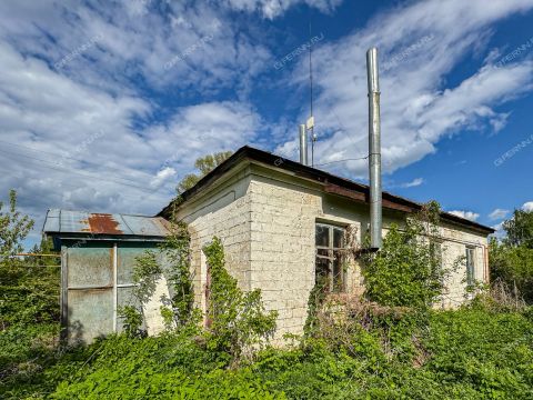selo-bornukovo-buturlinskiy-municipalnyy-okrug фото