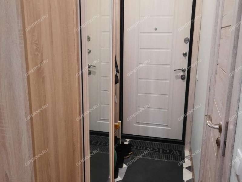 квартира-студия на улице Красная Поляна дом 4 деревня Афонино