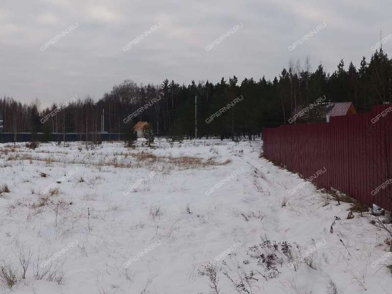 земельный участок 10,1 сотки Березовая пойма п