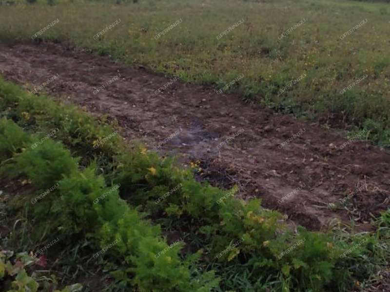 земельный участок 15 соток деревня Ткалино