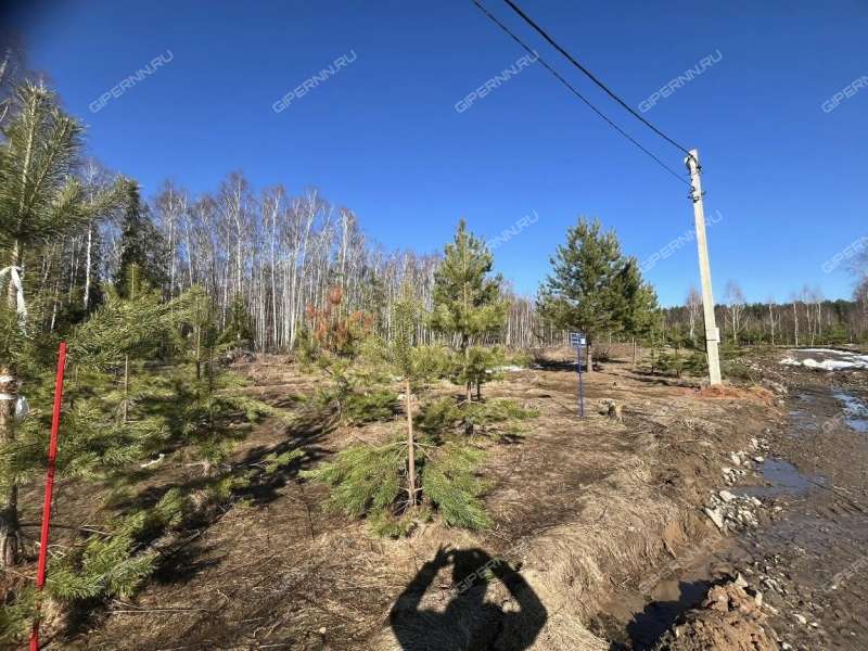 земельный участок под сельхоз назначение в Городецком районе Нижегородской области