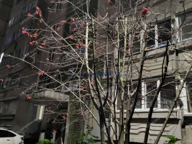 однокомнатная квартира на Подворной улице дом 5