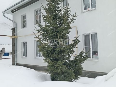 3-komnatnaya-rabochiy-poselok-gidrotorf-balahninskiy-municipalnyy-okrug фото