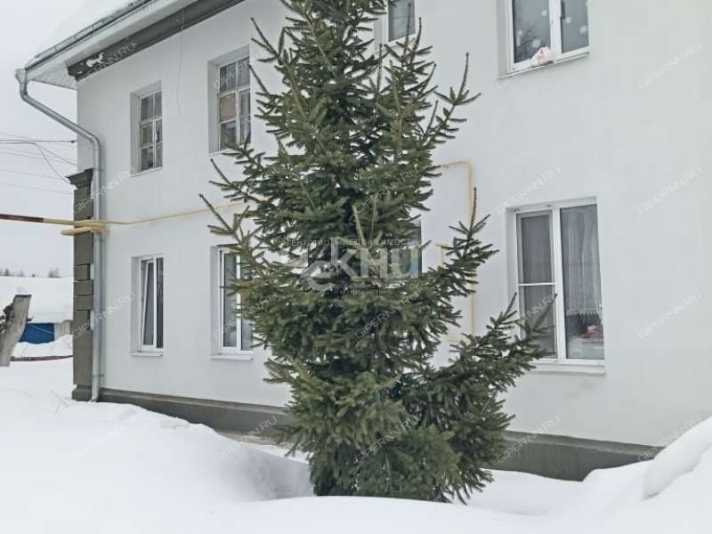 трёхкомнатная квартира на Центральной улице дом 9 рабочий посёлок Гидроторф