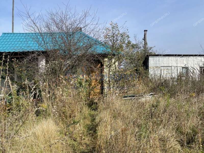 земельный участок 10 соток Центральная улица деревня Криуша