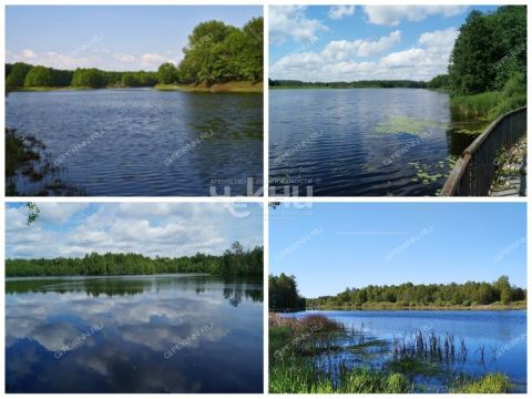 dacha-gorod-zavolzhe-gorodeckiy-rayon фото