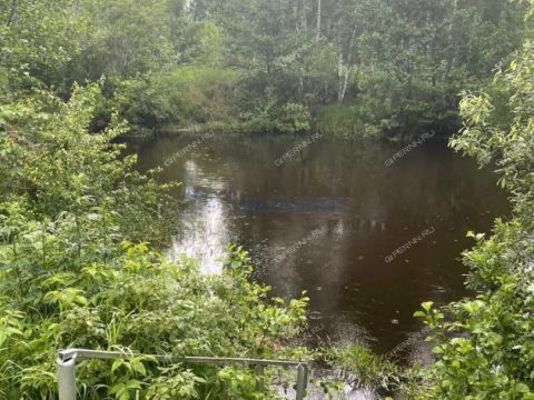 rabochiy-poselok-gidrotorf-balahninskiy-municipalnyy-okrug фото